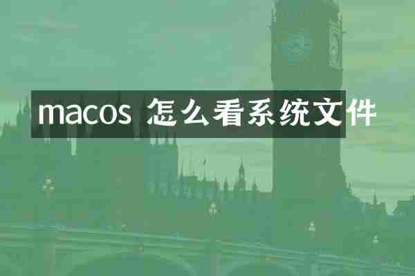 macos 怎么看系统文件