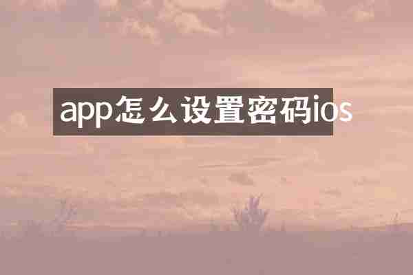 app怎么设置密码ios