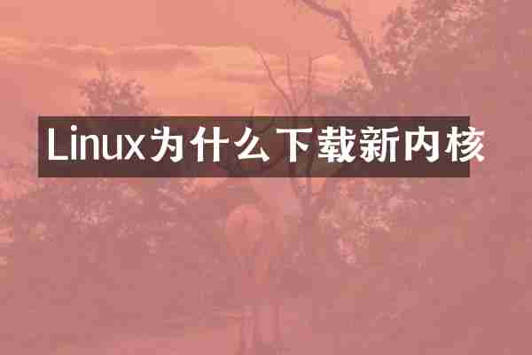 Linux为什么下载新内核