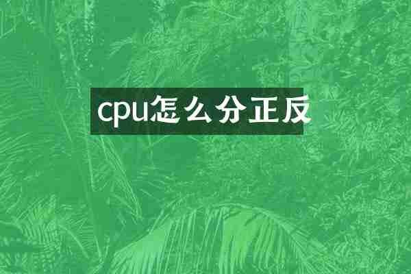 cpu怎么分正反