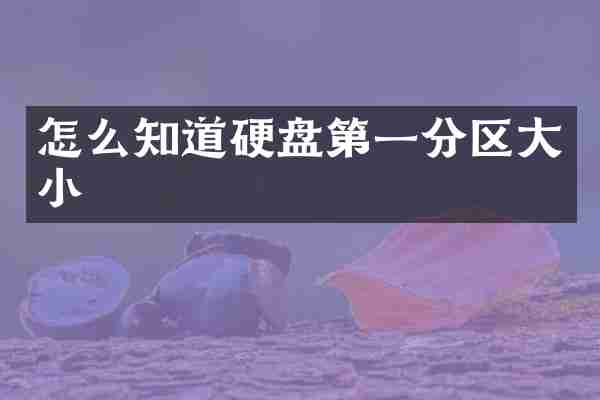怎么知道硬盘第一分区大小