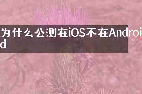 为什么公测在iOS不在Android