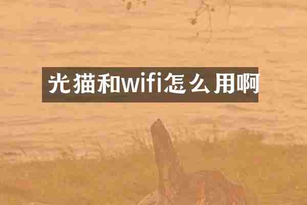 光猫和wifi怎么用啊