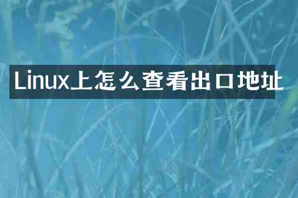 Linux上怎么查看出口地址