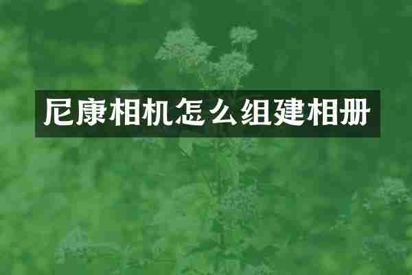 尼康相机怎么组建相册