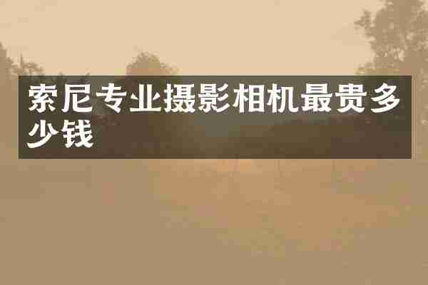 索尼专业摄影相机最贵多少钱