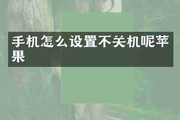 手机怎么设置不关机呢苹果