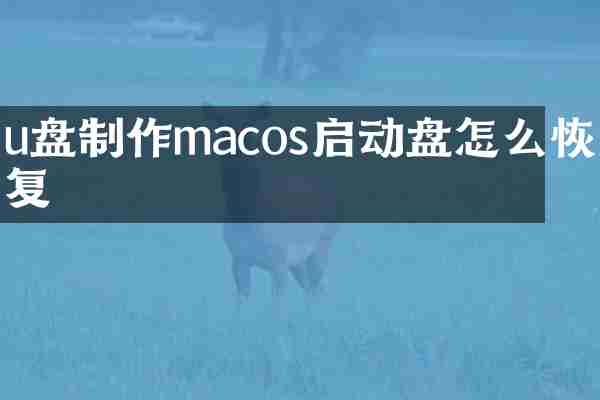 u盘制作macos启动盘怎么恢复