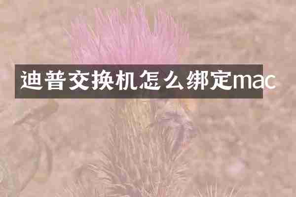 迪普交换机怎么绑定mac