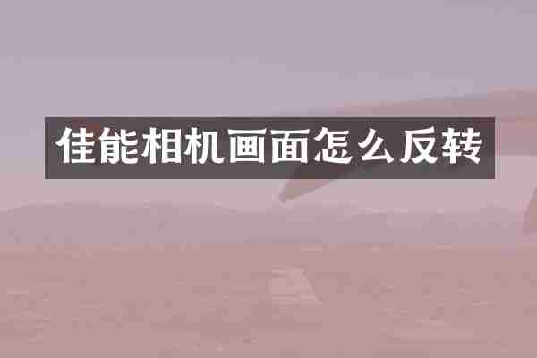 佳能相机画面怎么反转