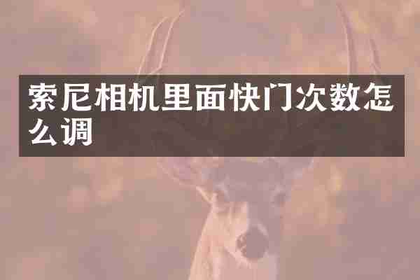 索尼相机里面快门次数怎么调