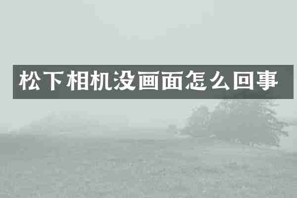 松下相机没画面怎么回事