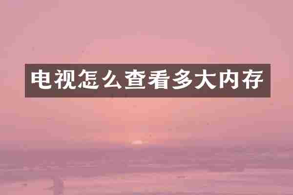 电视怎么查看多大内存