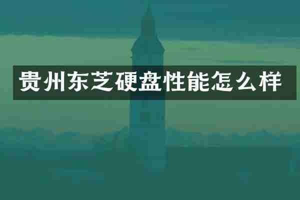 贵州东芝硬盘性能怎么样