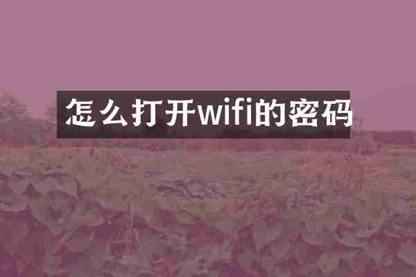 怎么打开wifi的密码
