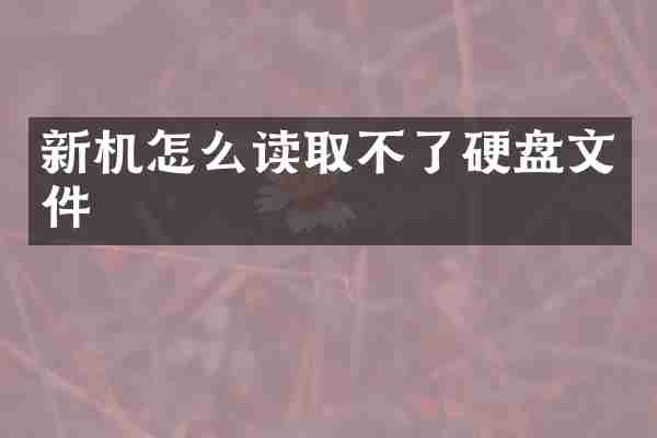 新机怎么读取不了硬盘文件