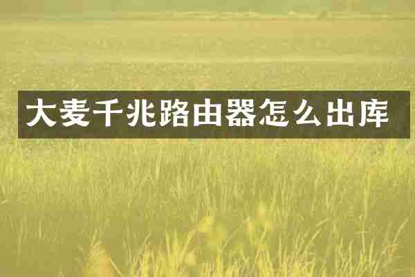 大麦千兆路由器怎么出库