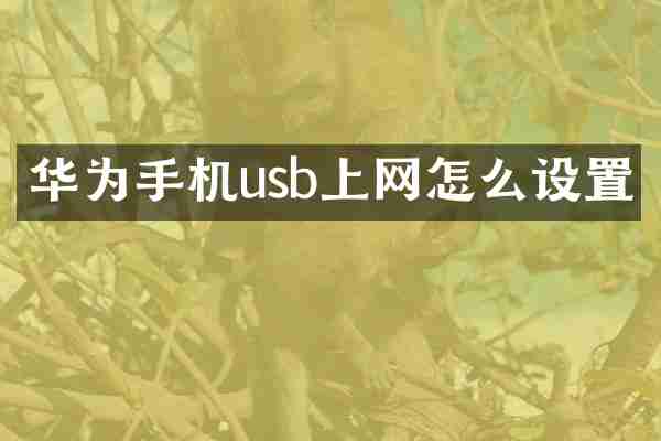华为手机usb上网怎么设置
