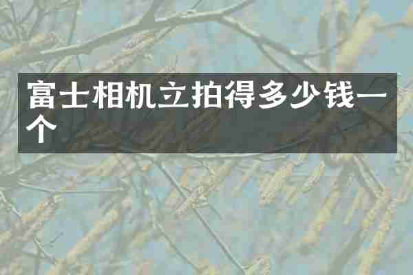 富士相机立拍得多少钱一个