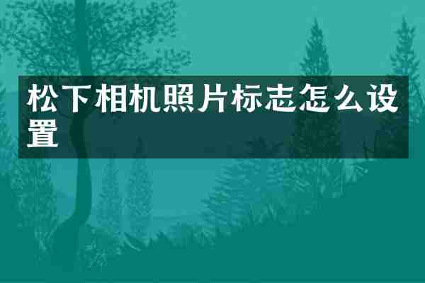 松下相机照片标志怎么设置
