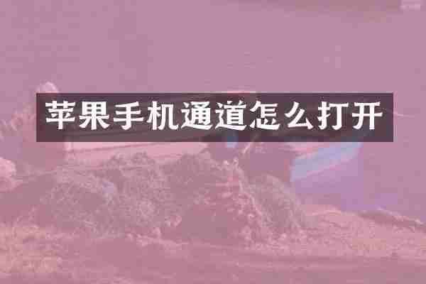 苹果手机通道怎么打开