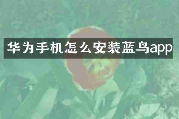 华为手机怎么安装蓝鸟app