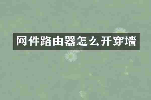 网件路由器怎么开穿墙