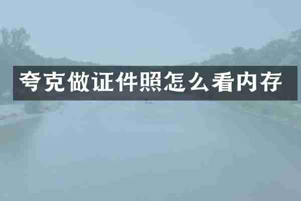 夸克做证件照怎么看内存