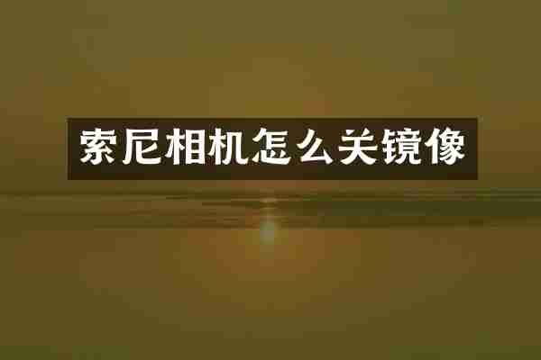 索尼相机怎么关镜像