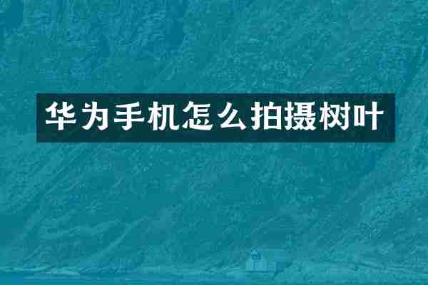 华为手机怎么拍摄树叶