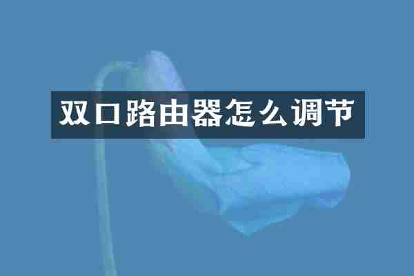 双口路由器怎么调节