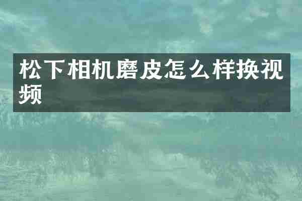 松下相机磨皮怎么样换视频