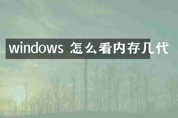 windows 怎么看内存几代