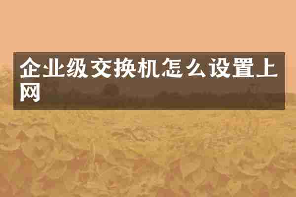 企业级交换机怎么设置上网