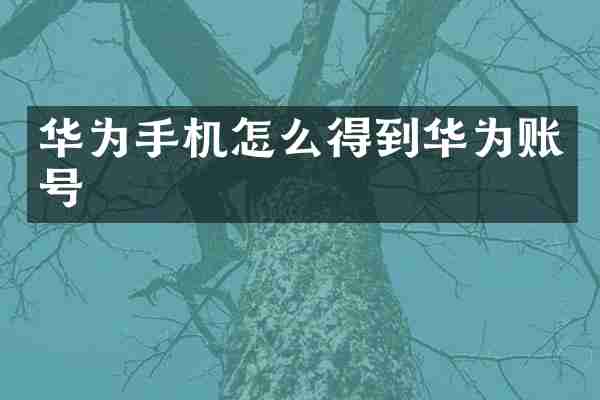 华为手机怎么得到华为账号