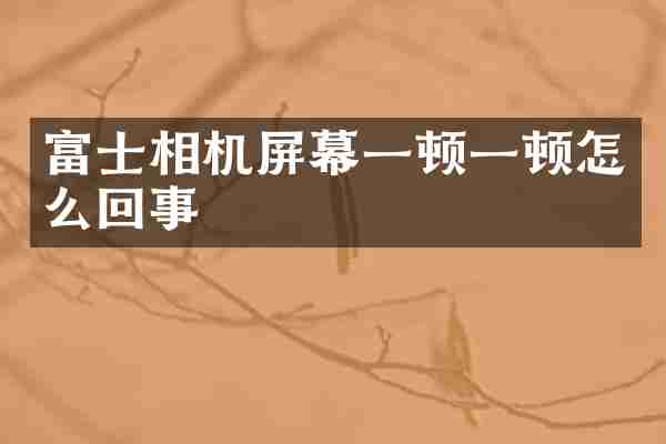富士相机屏幕一顿一顿怎么回事