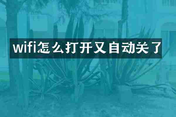wifi怎么打开又自动关了