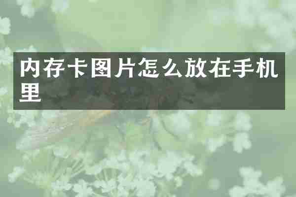 内存卡图片怎么放在手机里