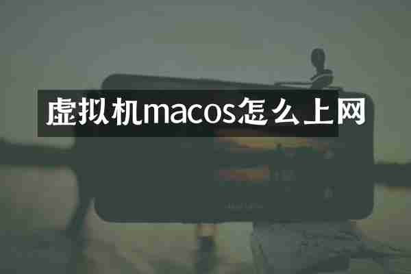 虚拟机macos怎么上网