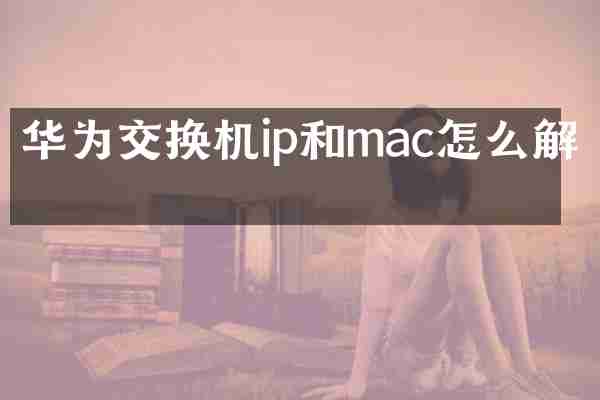 华为交换机ip和mac怎么解绑