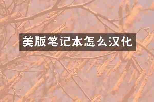 美版笔记本怎么汉化