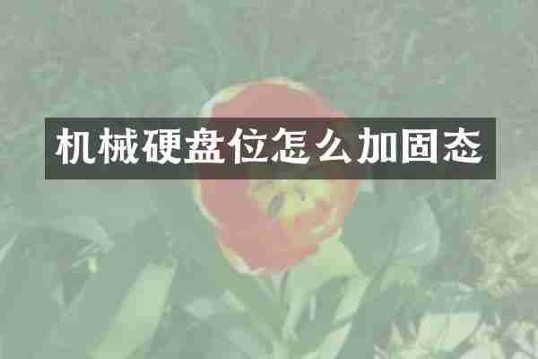 机械硬盘位怎么加固态