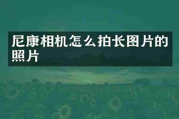 尼康相机怎么拍长图片的照片