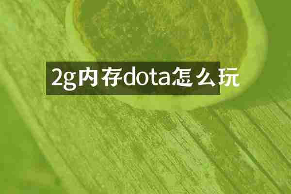 2g内存dota怎么玩