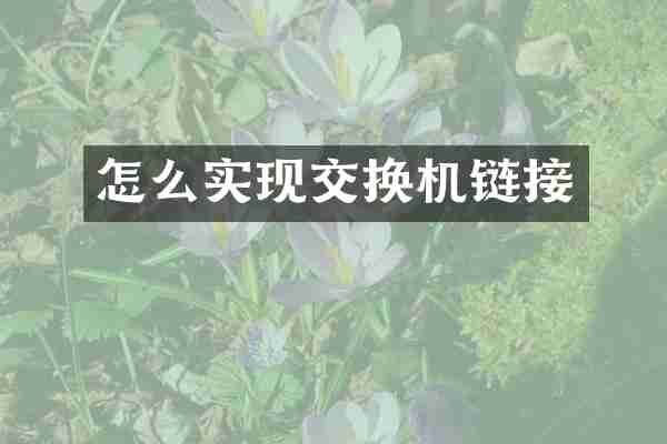怎么实现交换机链接