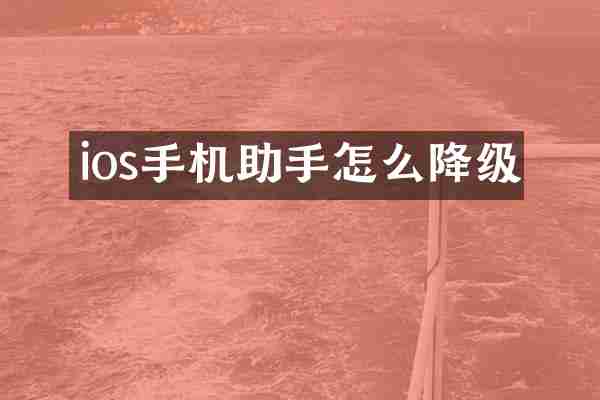 ios手机助手怎么降级