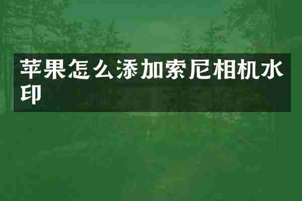 苹果怎么添加索尼相机水印