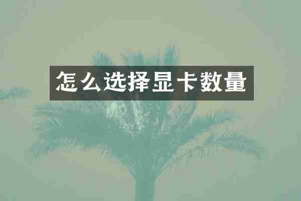 怎么选择显卡数量