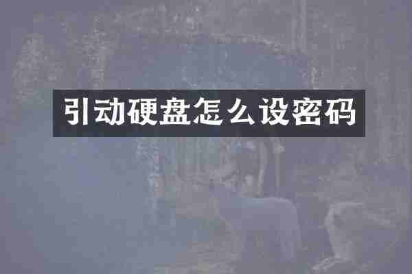 引动硬盘怎么设密码