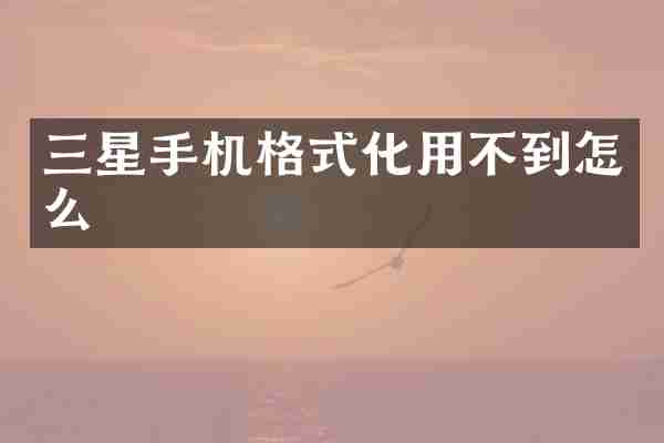 三星手机格式化用不到怎么